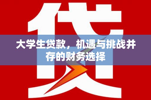海北大学生贷款，机遇与挑战并存的财务选择