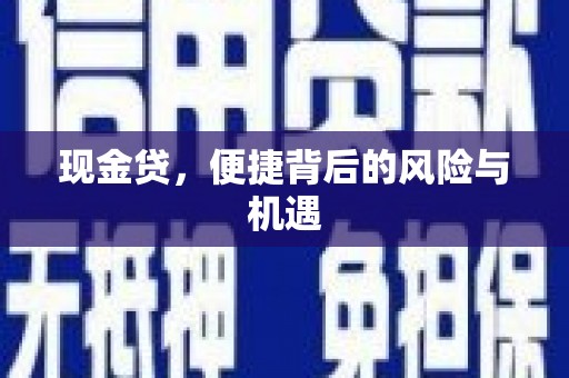 海北现金贷，便捷背后的风险与机遇