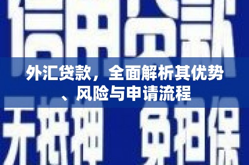 海北外汇贷款，全面解析其优势、风险与申请流程
