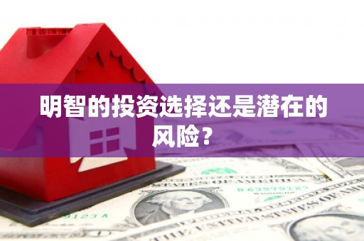 海北明智的投资选择还是潜在的风险？