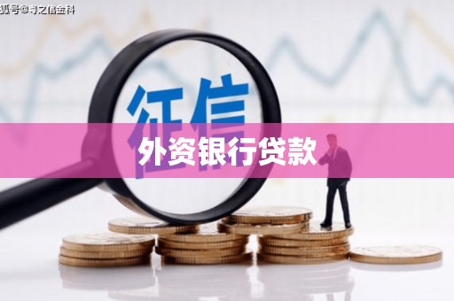 海北外资银行贷款