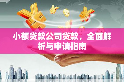 海北小额贷款公司贷款，全面解析与申请指南