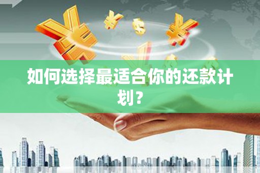 海北如何选择最适合你的还款计划？