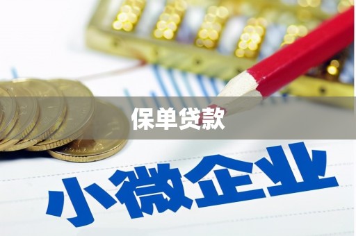 海北保单贷款