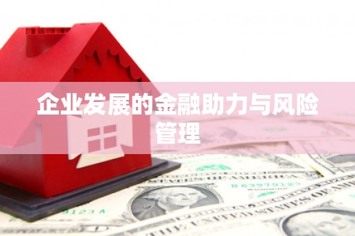 海北企业发展的金融助力与风险管理