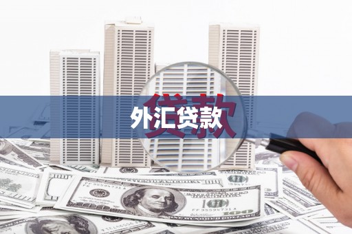 海北外汇贷款