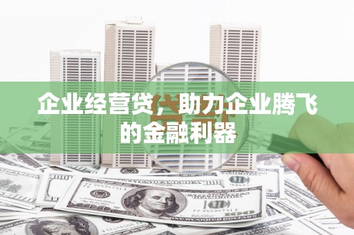 海北企业经营贷，助力企业腾飞的金融利器
