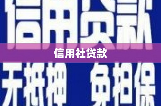 海北信用社贷款