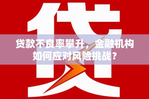 海北贷款不良率攀升，金融机构如何应对风险挑战？