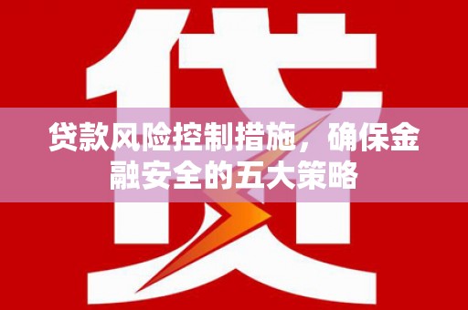 海北贷款风险控制措施，确保金融安全的五大策略