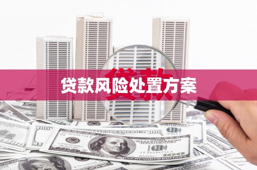 海北贷款风险处置方案