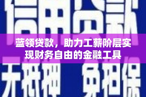 海北蓝领贷款，助力工薪阶层实现财务自由的金融工具