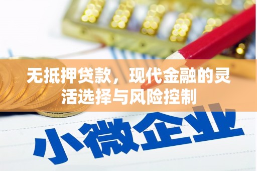 海北无抵押贷款，现代金融的灵活选择与风险控制