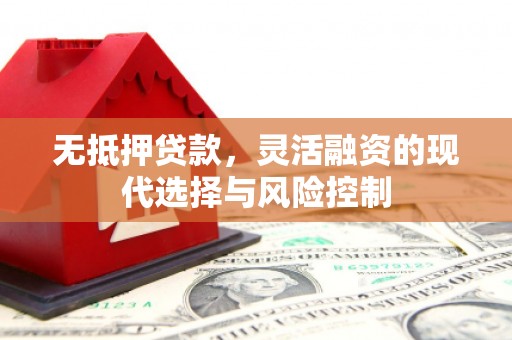 海北无抵押贷款，灵活融资的现代选择与风险控制