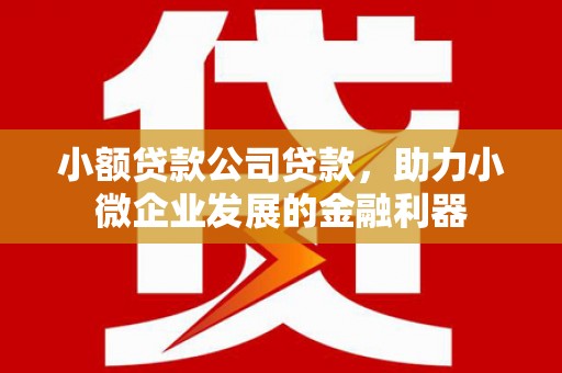 海北小额贷款公司贷款，助力小微企业发展的金融利器