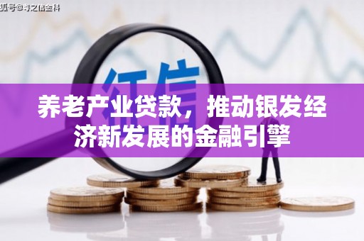 海北养老产业贷款，推动银发经济新发展的金融引擎