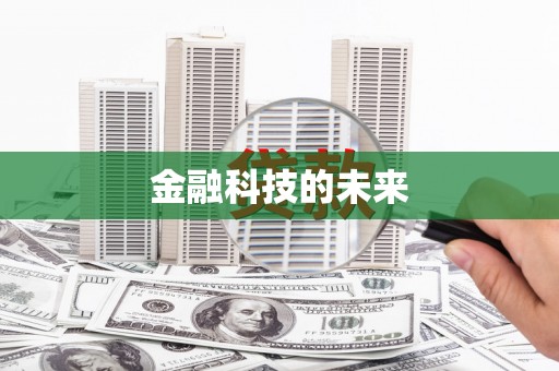 海北金融科技的未来