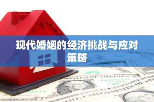 海北现代婚姻的经济挑战与应对策略