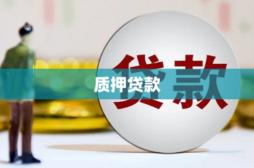 海北质押贷款