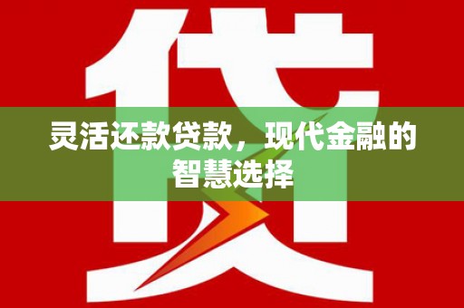 海北灵活还款贷款，现代金融的智慧选择