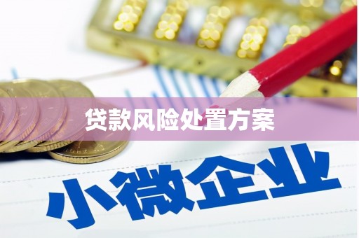 海北贷款风险处置方案