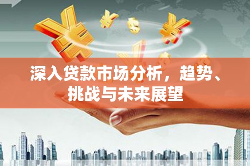 海北深入贷款市场分析，趋势、挑战与未来展望