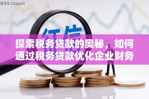 海北探索税务贷款的奥秘，如何通过税务贷款优化企业财务