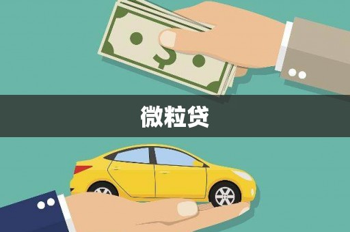 海北微粒贷