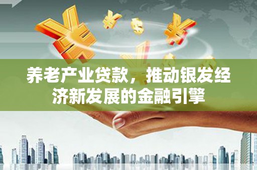 海北养老产业贷款，推动银发经济新发展的金融引擎