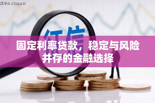 海北固定利率贷款，稳定与风险并存的金融选择
