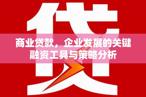 海北商业贷款，企业发展的关键融资工具与策略分析