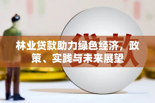海北林业贷款助力绿色经济，政策、实践与未来展望