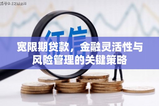 海北宽限期贷款，金融灵活性与风险管理的关键策略
