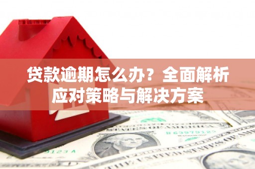 海北贷款逾期怎么办？全面解析应对策略与解决方案