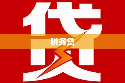 海北税务贷