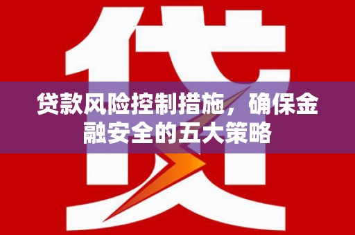 海北贷款风险控制措施，确保金融安全的五大策略
