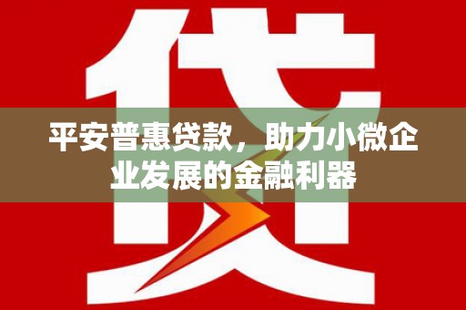 海北平安普惠贷款，助力小微企业发展的金融利器