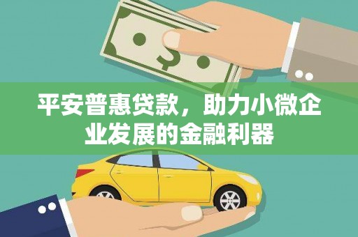 海北平安普惠贷款，助力小微企业发展的金融利器