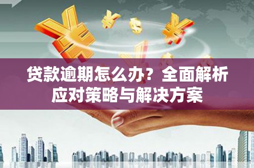 海北贷款逾期怎么办？全面解析应对策略与解决方案