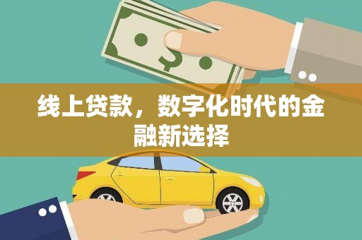 海北线上贷款，数字化时代的金融新选择