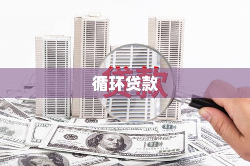 海北循环贷款