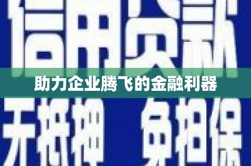 海北助力企业腾飞的金融利器