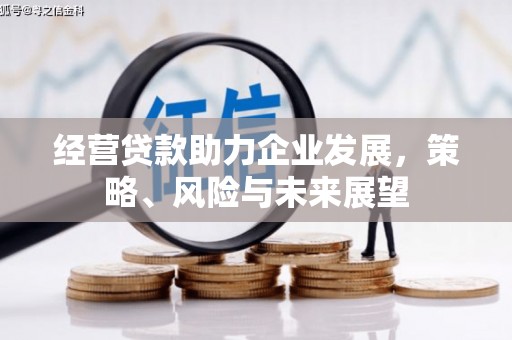 海北经营贷款助力企业发展，策略、风险与未来展望