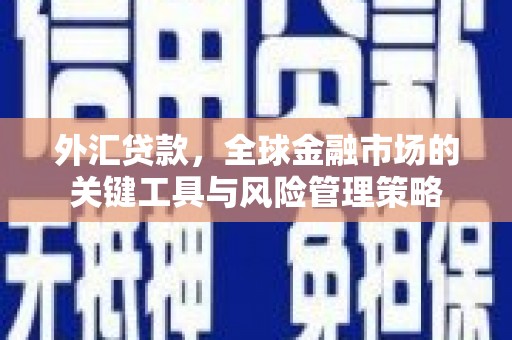 海北外汇贷款，全球金融市场的关键工具与风险管理策略