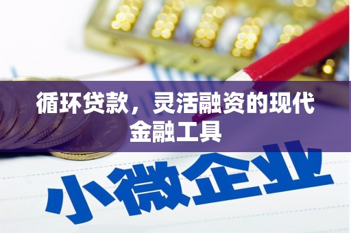 海北循环贷款，灵活融资的现代金融工具