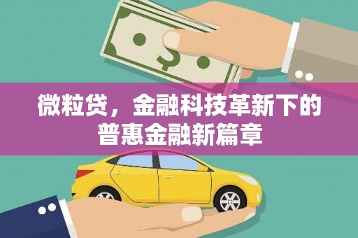 海北微粒贷，金融科技革新下的普惠金融新篇章