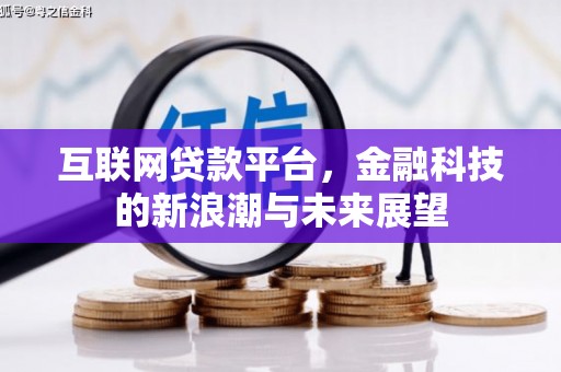 海北互联网贷款平台，金融科技的新浪潮与未来展望