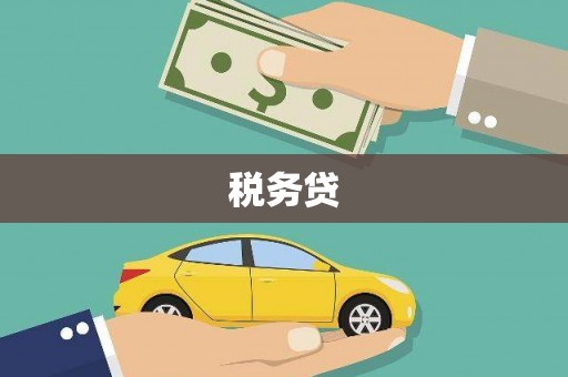 海北税务贷