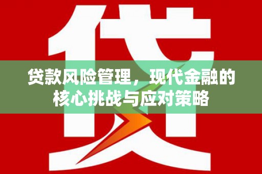海北贷款风险管理，现代金融的核心挑战与应对策略