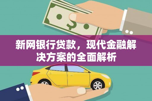 海北新网银行贷款，现代金融解决方案的全面解析